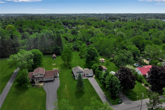 4987 Kraus Rd, Clarence, NY 14031 - photo 45