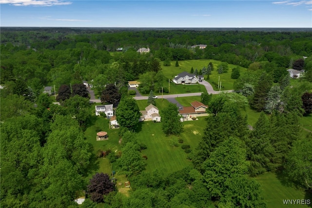 4987 Kraus Rd, Clarence, NY 14031 - photo 46