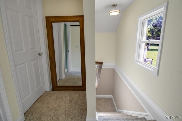 4987 Kraus Rd, Clarence, NY 14031 - photo 33