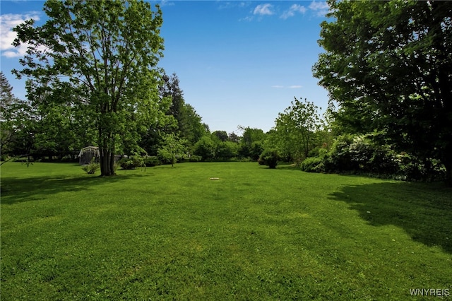 4987 Kraus Rd, Clarence, NY 14031 - photo 39