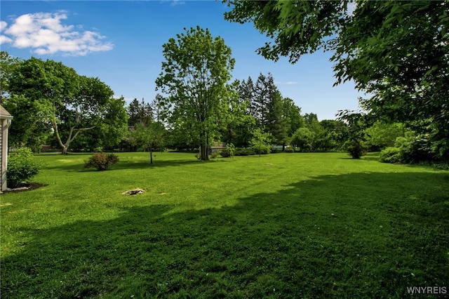 4987 Kraus Rd, Clarence, NY 14031 - photo 40