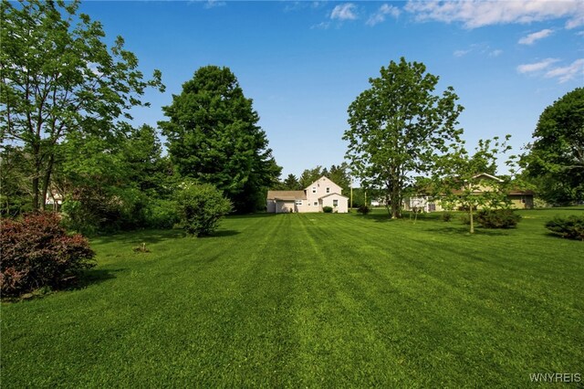 4987 Kraus Rd, Clarence, NY 14031 - photo 41