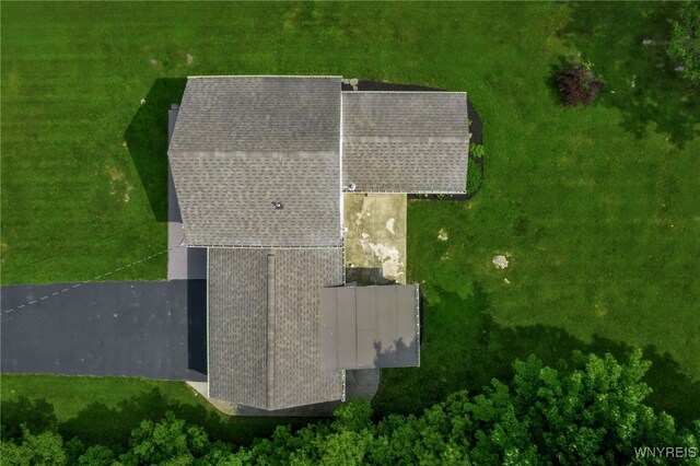 4987 Kraus Rd, Clarence, NY 14031 - photo 42