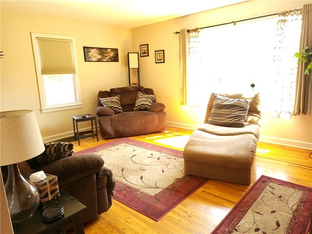 313 Gardner Rd, Horseheads, NY 14845 - living area with wood finished floors and baseboards