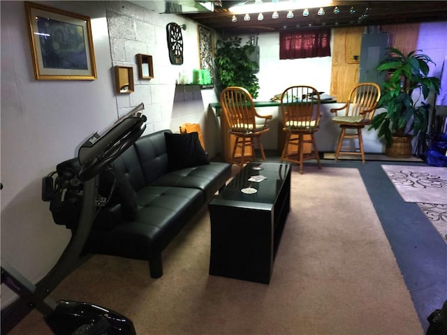 313 Gardner Rd, Horseheads, NY 14845 - community lobby with electric panel