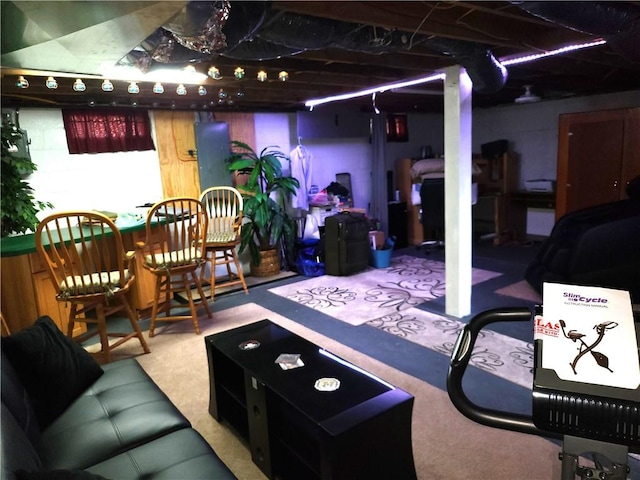 313 Gardner Rd, Horseheads, NY 14845 - basement featuring carpet floors