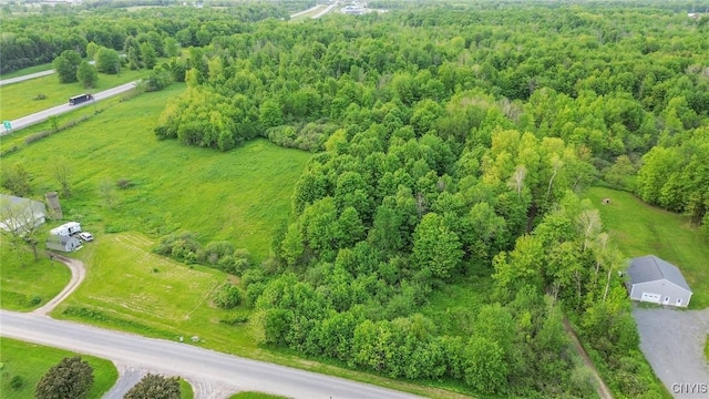 Halsey Rd, Richland, NY 13142