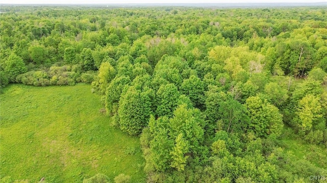Halsey Rd, Richland, NY 13142