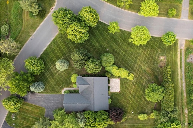 1 Wicklow Dr, Skaneateles, NY 13152 - bird's eye view
