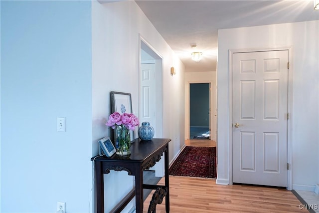 1 Wicklow Dr, Skaneateles, NY 13152 - hall with light wood-type flooring and baseboards