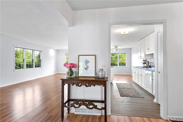 1 Wicklow Dr, Skaneateles, NY 13152 - hall featuring wood finished floors, a sink, and baseboards