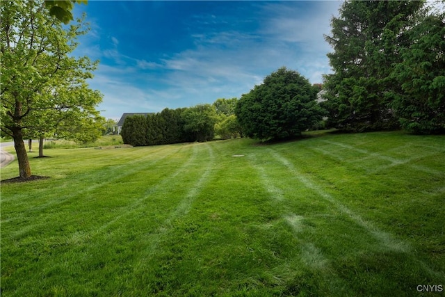 1 Wicklow Dr, Skaneateles, NY 13152 - view of green lawn
