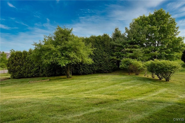 1 Wicklow Dr, Skaneateles, NY 13152 - view of green lawn