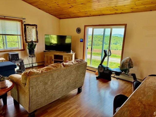 251 Pearsall Rd, Westford, NY 12155 - living room featuring wood ceiling, plenty of natural light, wood finished floors, a baseboard heating unit, and lofted ceiling