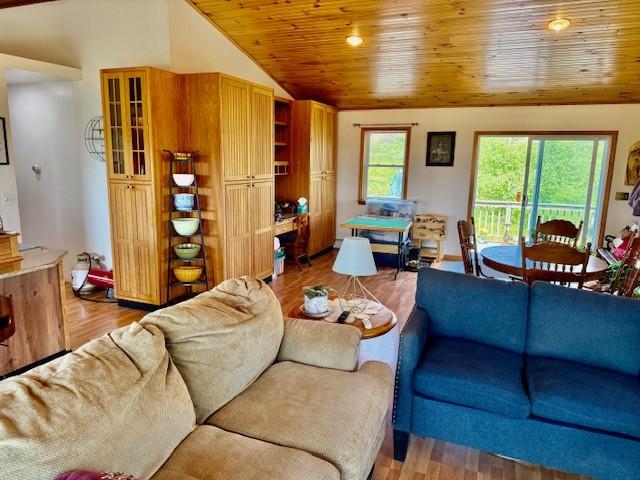 251 Pearsall Rd, Westford, NY 12155 - living area with lofted ceiling, wood ceiling, light wood-type flooring, and recessed lighting