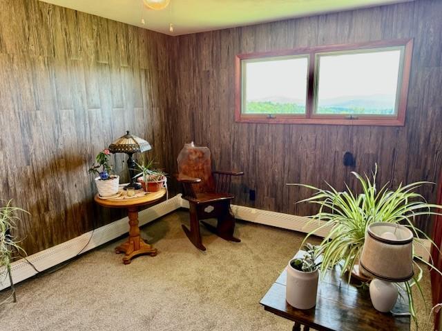 251 Pearsall Rd, Westford, NY 12155 - sitting room featuring carpet floors and wooden walls