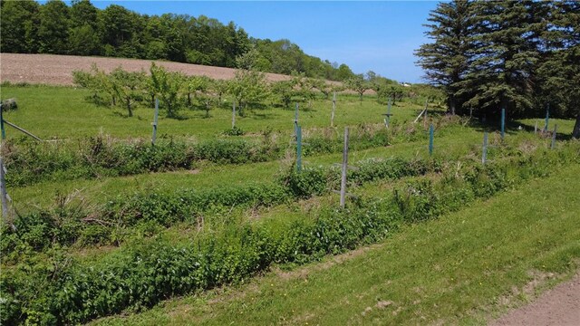 251 Pearsall Rd, Westford, NY 12155 - view of yard featuring a rural view