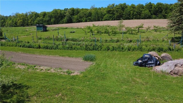 251 Pearsall Rd, Westford, NY 12155 - view of yard featuring a view of countryside