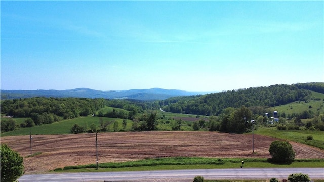 251 Pearsall Rd, Westford, NY 12155 - view of mountain background featuring rural landscape and a forest