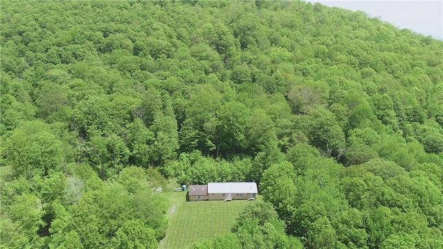 719 Sunrise Mountain Rd, Kortright, NY 13739 - photo 4