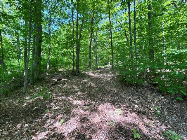 719 Sunrise Mountain Rd, Kortright, NY 13739 - photo 30