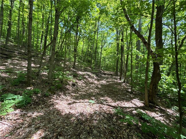 719 Sunrise Mountain Rd, Kortright, NY 13739 - photo 31