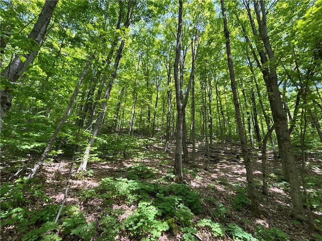 719 Sunrise Mountain Rd, Kortright, NY 13739 - photo 34