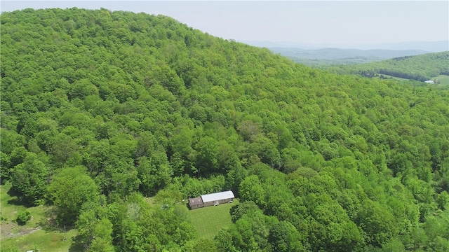 719 Sunrise Mountain Rd, Kortright, NY 13739 - photo 37