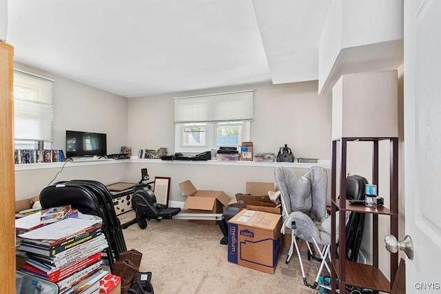 4190 Stepping Stone Ln, Clay, NY 13090 - workout area featuring carpet flooring