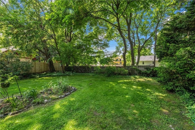 1579 Culver Rd, Rochester, NY 14609 - view of yard