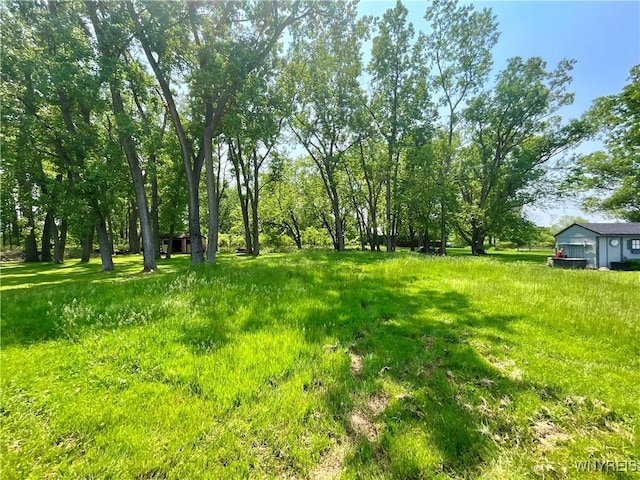 21 Kathy Ln, West Seneca, NY 14224 - view of yard
