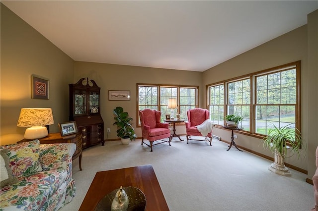 256 Queen Esther Dr, Sayre, PA 18840 - carpeted living room with baseboards