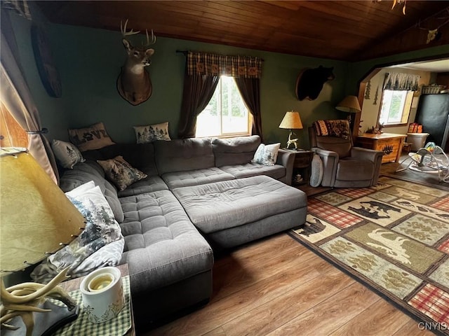 8 Office Rd, Fowler, NY 13642 - living area featuring wood ceiling, wood finished floors, and lofted ceiling