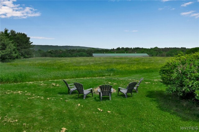 12997 Centerline Rd, Wales, NY 14139 - photo 43