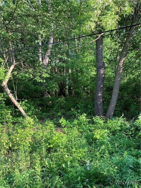 715 Monroe Ave, Evans, NY 14006