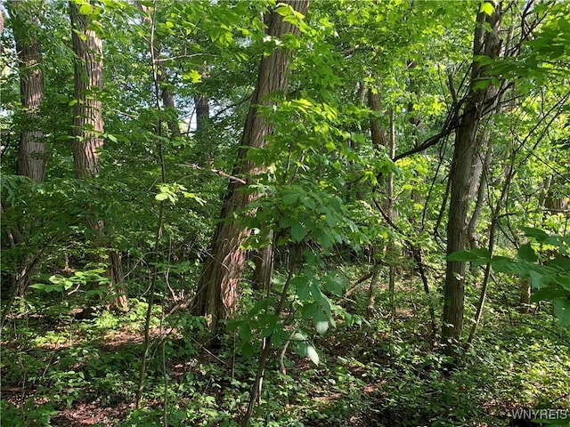 715 Monroe Ave, Evans, NY 14006