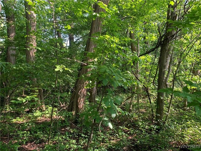 715 Monroe Ave, Evans, NY 14006