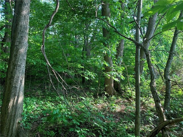 715 Monroe Ave, Evans, NY 14006