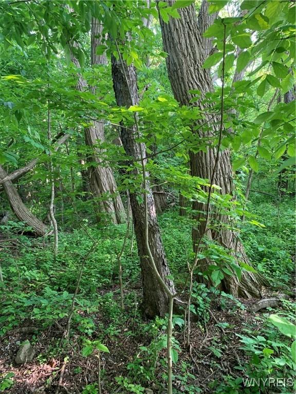715 Monroe Ave, Evans, NY 14006