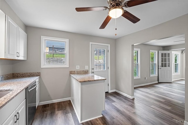 308 Lewis St, Syracuse, NY 13204 - kitchen with dishwasher, healthy amount of natural light, and dark wood-style flooring