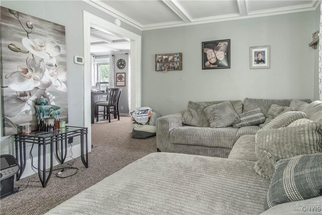 531 S Massey St, Watertown-City, NY 13601 - photo 20