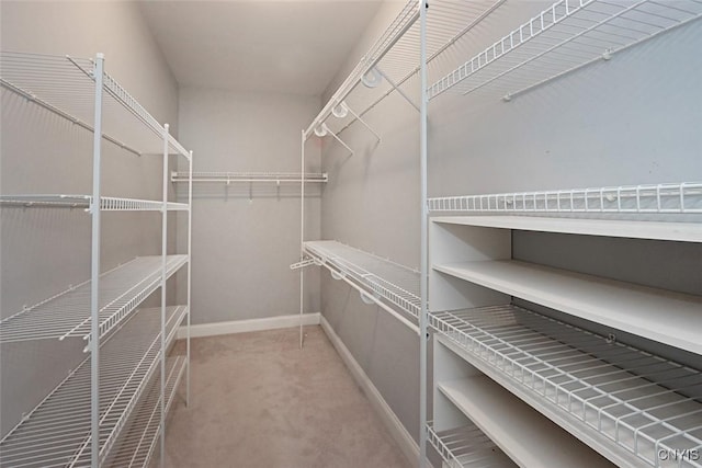 207 Falling Brook Path, Manlius, NY 13066 - walk in closet featuring carpet