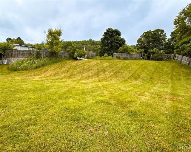 44 Bridge St, Newport, NY 13406 - photo 30