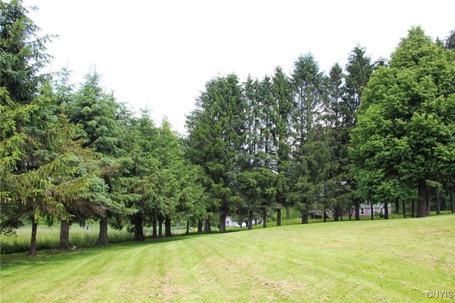 465 Blanding Rd, Sherburne, NY 13460 - view of green lawn