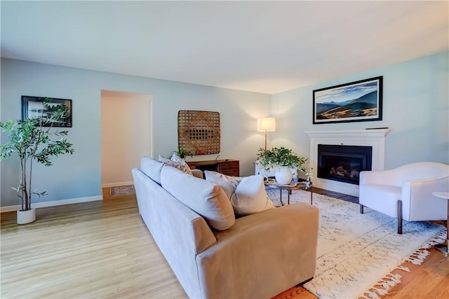 12 Edgewood Dr, Penfield, NY 14526 - living room with light wood-style flooring, a glass covered fireplace, and baseboards
