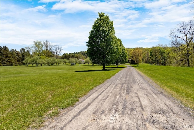 5750 Sentinel Heights Rd, Onondaga, NY 13078 - view of dirt / gravel road