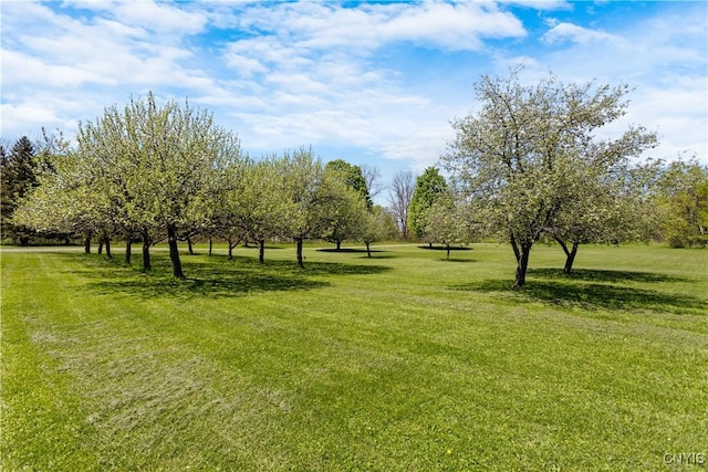 5750 Sentinel Heights Rd, Onondaga, NY 13078 - view of property's community featuring a lawn