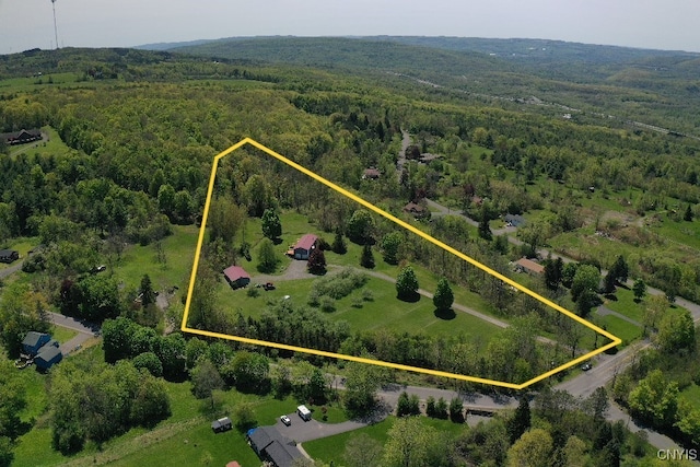 5750 Sentinel Heights Rd, Onondaga, NY 13078 - aerial overview of property's location with property parcel outlined and a forest