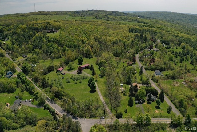5750 Sentinel Heights Rd, Onondaga, NY 13078 - aerial overview of property's location with a forest