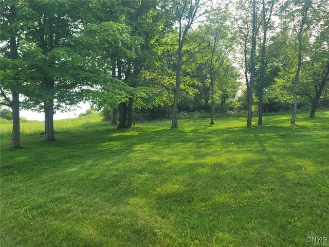 243T-LOT Becketts Ln, Onondaga, NY 13215 - photo 8